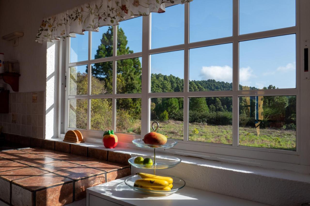 Casa Alba, Casa Rural Con Piscina-Spa Climatizada Hasta 34º Gratuito Y Vistas Al Mar Puntallana 외부 사진