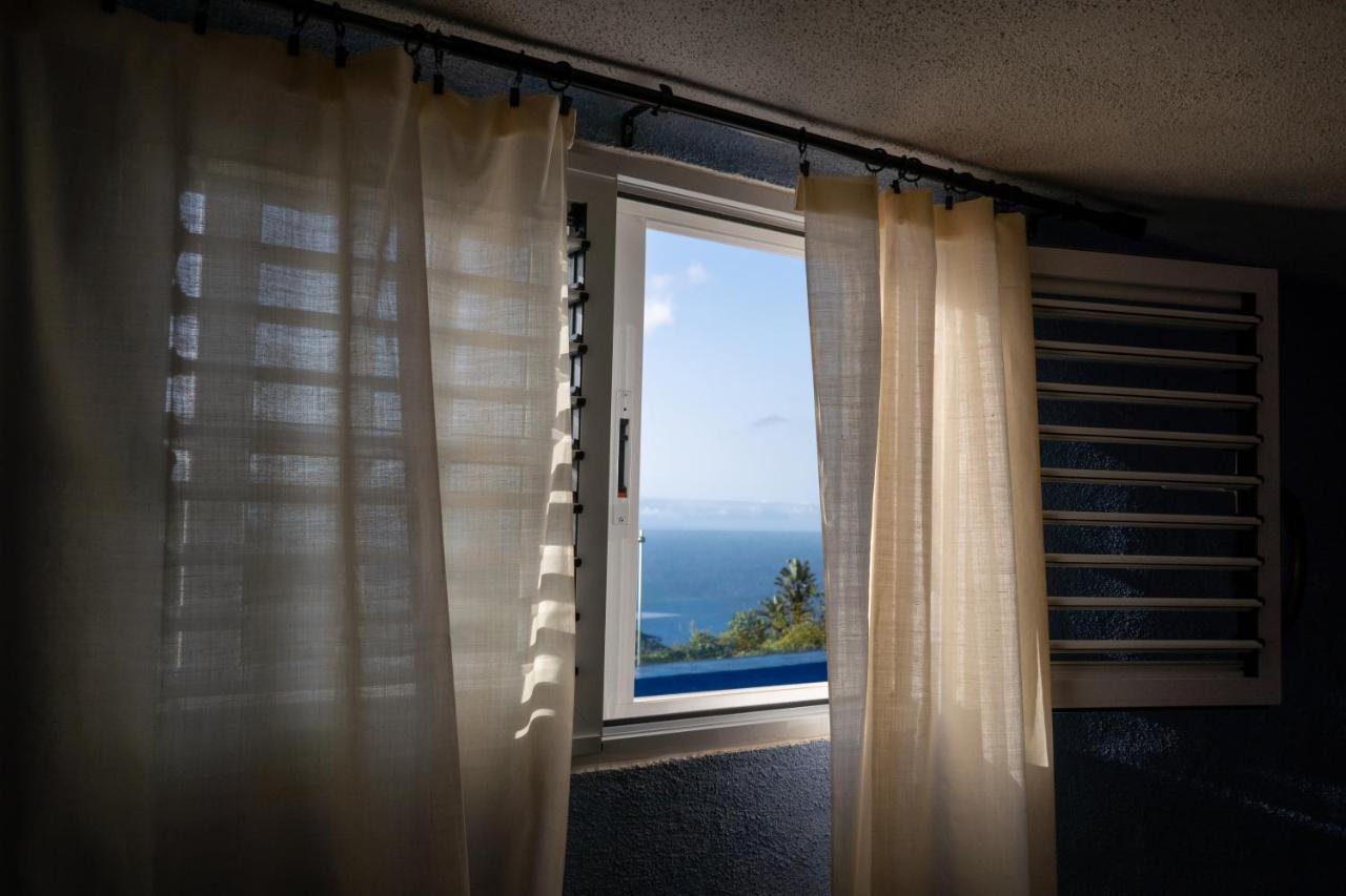Casa Alba, Casa Rural Con Piscina-Spa Climatizada Hasta 34º Gratuito Y Vistas Al Mar Puntallana 외부 사진